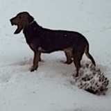 Avatar de l’utilisateur